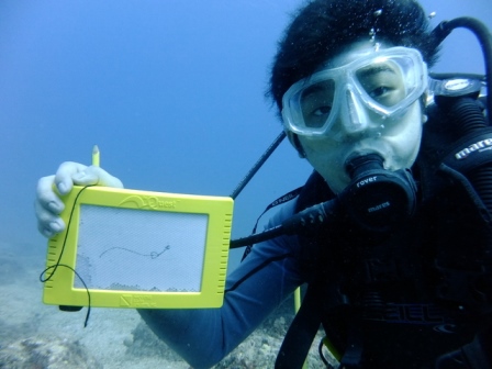 サイパン 体験ダイビング