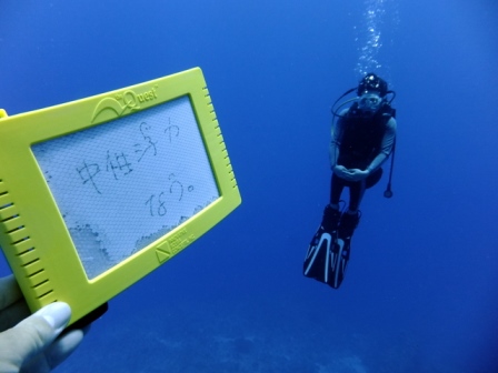 サイパン ダイビング