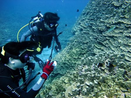 サイパン ダイビング