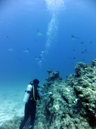 サイパン ダイビング