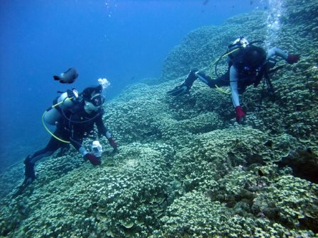 サイパン ダイビング