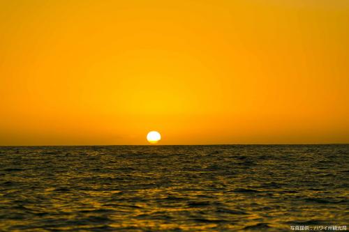サンセット5