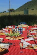 bush breakfast