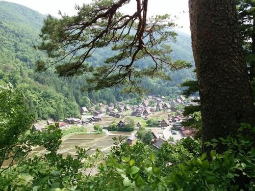 白川郷で初夏の旅♪１