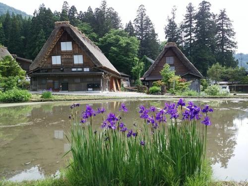 白川郷で初夏の旅♪６