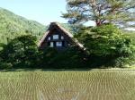 もうすぐ梅雨の季節　白川郷４