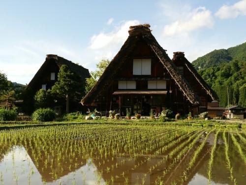 想像を遥かに超える幻想的な風景を楽しむ１