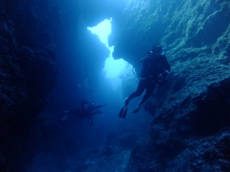 サイパン ダイビング ライセンス