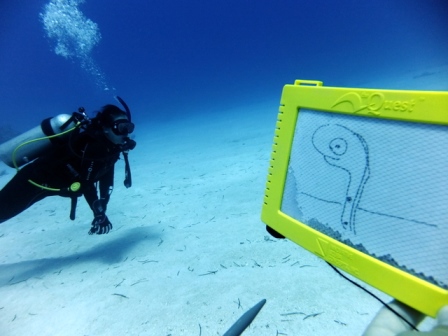 サイパン ダイビング ライセンス