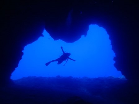 サイパン ダイビング ライセンス