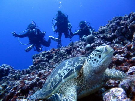 サイパン ダイビング