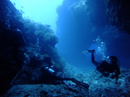 サイパン ダイビング ライセンス