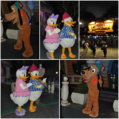 ドナルドプルート