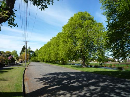 Ｐ７７-０９３Ｆ