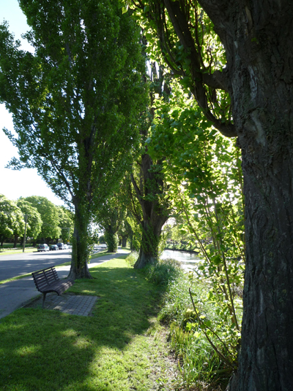 Ｐ７７-０９８Ｆ