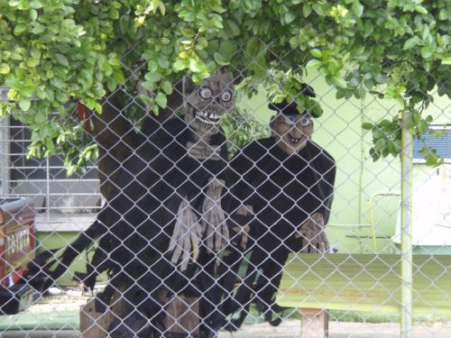 PAL_ハロウィン２