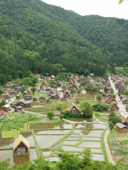 早めに決めて２