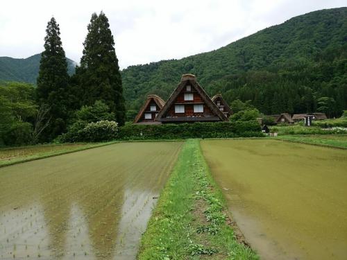 早めに決めて３