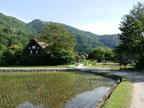 早めに決めて５