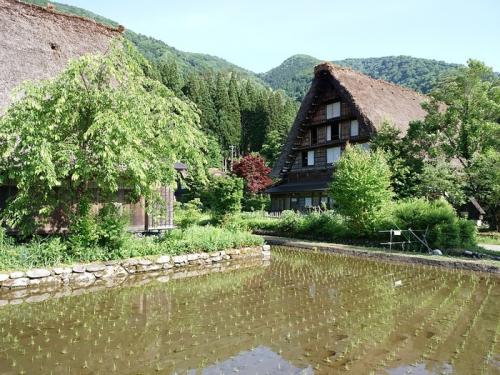 早めに決めて７