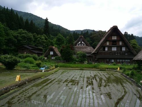 白川郷の旅 わいわい楽しんで２