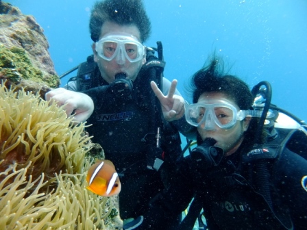 サイパン ダイビング ライセンス