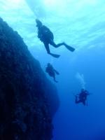 サイパン　ダイビング　ライセンス