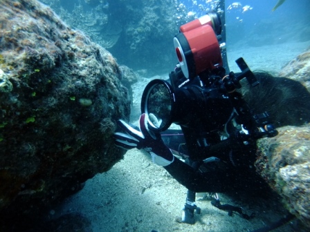 サイパン 体験ダイビング