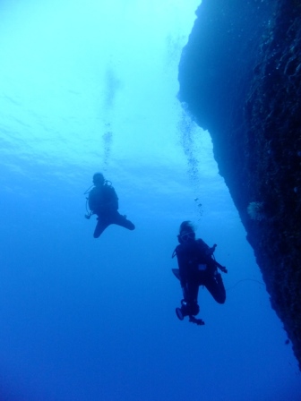 サイパン ダイビング ライセンス