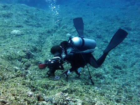 サイパン ダイビング