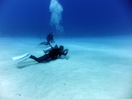 サイパン ダイビング ライセンス