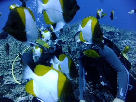 サイパン 体験ダイビング