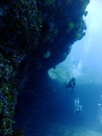 サイパン 体験ダイビング