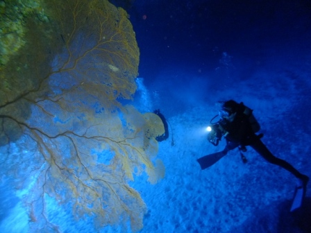 サイパン ダイビング