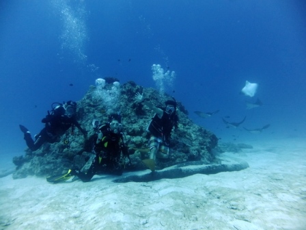 サイパン ダイビング ライセンス