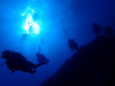 サイパン ダイビングショップ