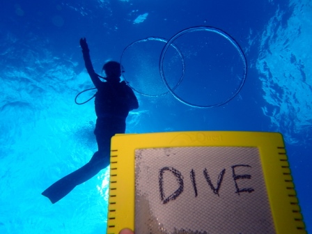 サイパン 体験ダイビング