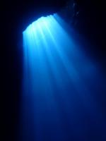 サイパン ダイビング ライセンス