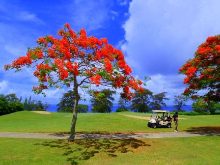 サイパン ダイビング