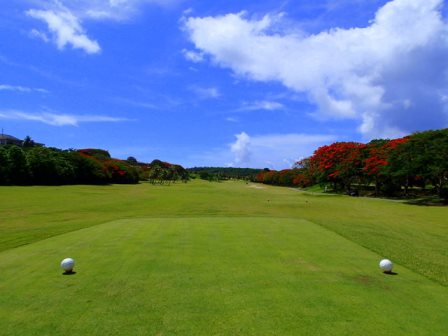 サイパン ダイビング ライセンス