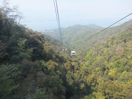 ロープウェーからの眺め林.jpg