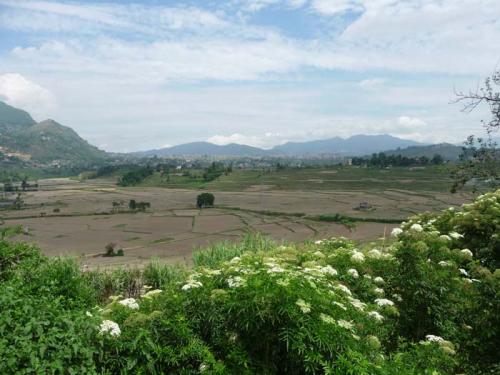 コカナ 地震後２