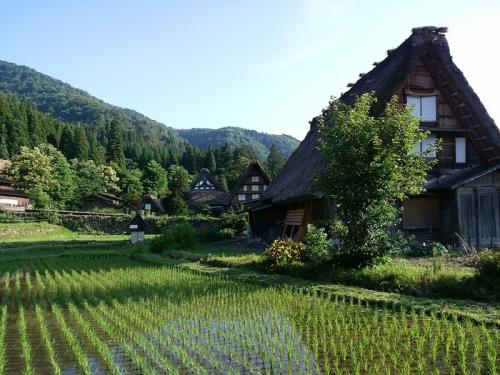 夏休みが始まる一足先に、旅行２