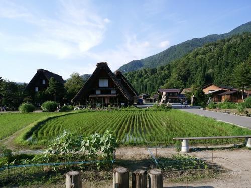 夏休みが始まる一足先に、旅行４