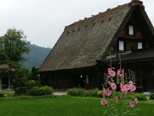 梅雨明けが待ち遠しいこの季節！白川郷８