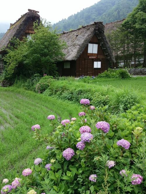 梅雨明けが待ち遠しいこの季節！白川郷１１