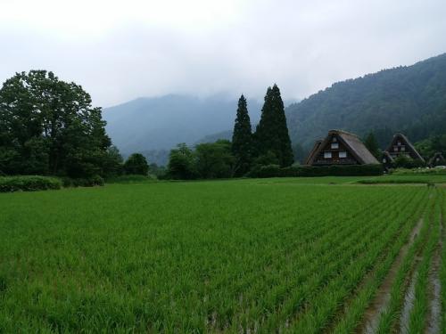 梅雨明けが待ち遠しいこの季節！白川郷１２