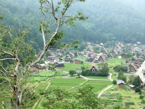 この夏休み 仲良しさんグループ♪集まれ６