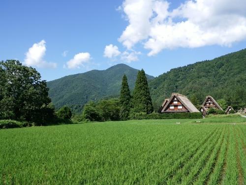 梅雨の晴れ間の白川郷 １