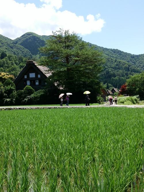 夏休み〜旅行せっかく白川郷にいらしたら３